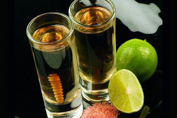 mezcal de gusano