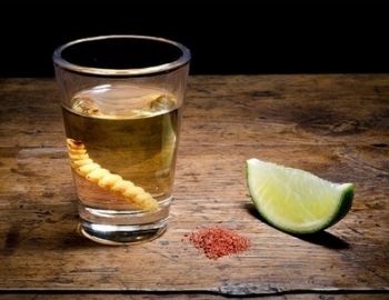 mezcal