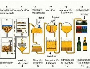 proceso de elaboración de la cerveza