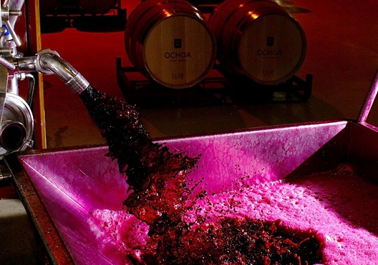 proceso de elaboración del vino tinto
