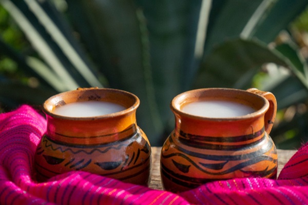 el pulque bebida tradicional mexicana