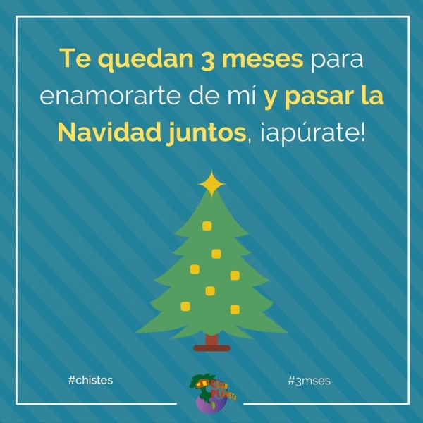 3 meses