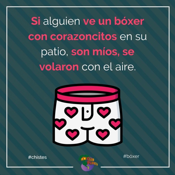bxer