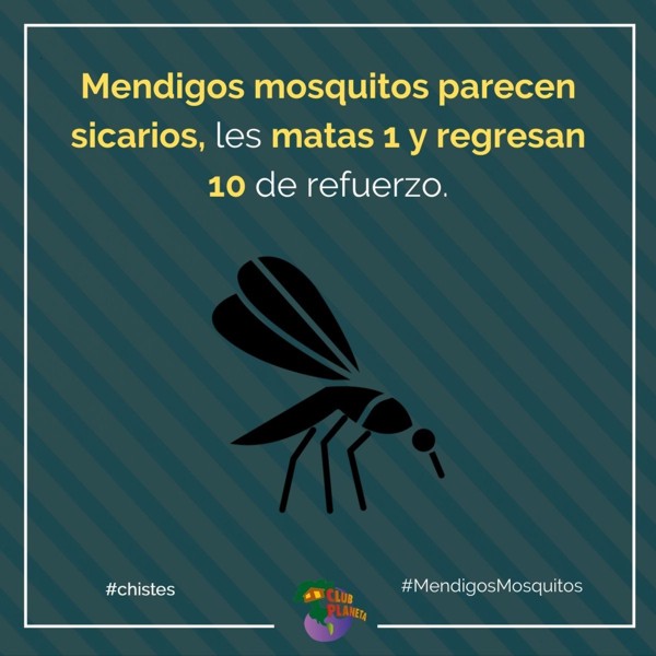 mendigos mosquitos