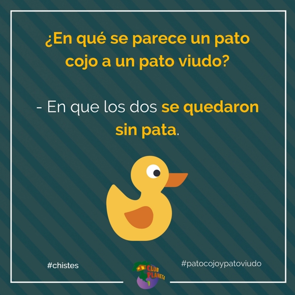 pato cojo y pato viudo