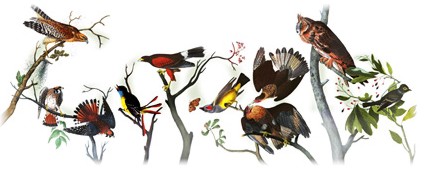 226 aniversario del nacimiento de john james audubon