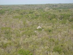 vista de coba desde lo alto