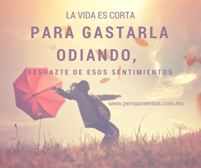 consejos �tiles