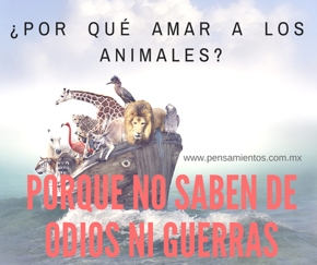4 de octubre, d�a mundial de los animales