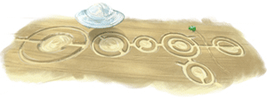 campos de maiz de google