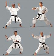 karate
