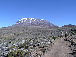 el kilimajaro