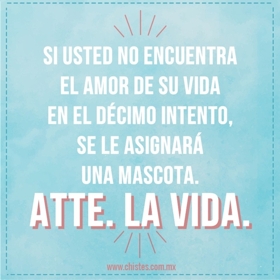 la vida