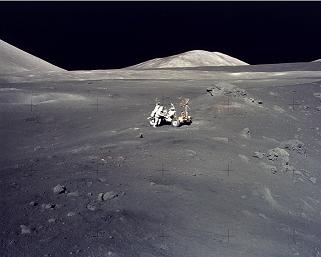 magnifica desolacion