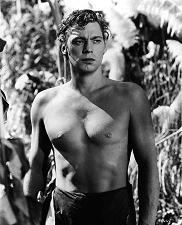 tarzan