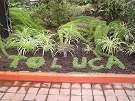 jardin botnico de toluca