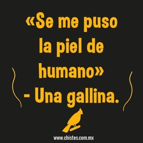 una gallina